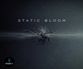Radio Static - Static Bloom (Digital Album)